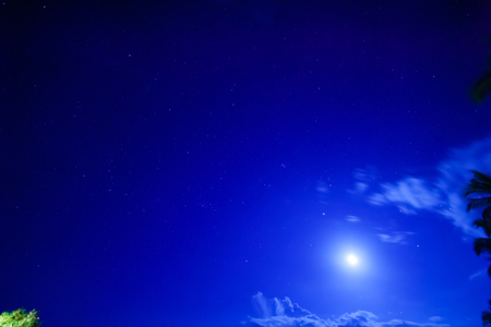 Holiday Paradiseの写真素材