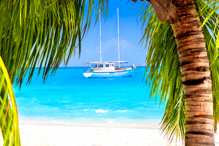 White sailing yacht on turquoise ocean at white sand beach with green palm treesの写真素材