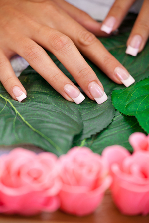 Fingers & Spaの写真素材