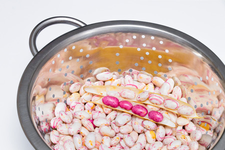 Colorful Fresh Kidney Beansの写真素材