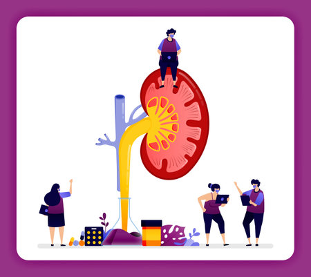 design illustration for kidney disease and treatment. detail inside the kidney for research, education and medicine.のイラスト素材