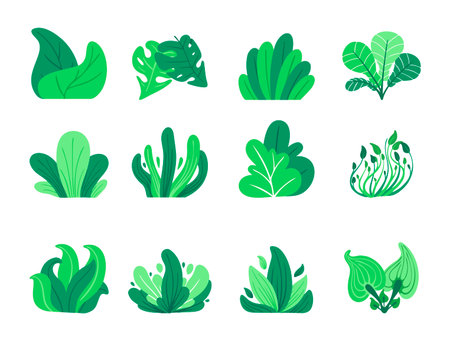 collection of leaves and grasses for decoration and elementsのイラスト素材