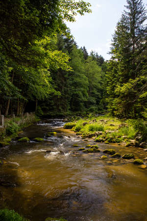 mountain stream in karkonosze national park in poland in summerの写真素材