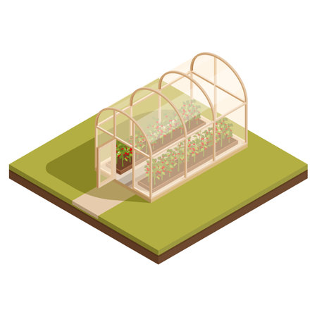 isometric greenhouse with growing tomatoes, vector illustrationのイラスト素材