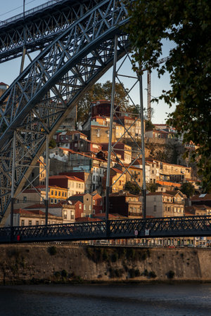 View of the Douro river and the city of Porto at dawn in autumn in Portugalの写真素材