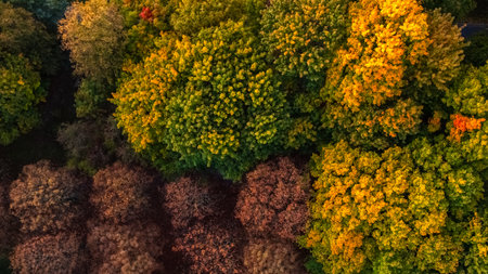 aerial view of morning park in warsaw in autumnの写真素材