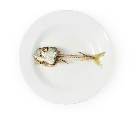 Fish skeleton on plate ,Concept of food shortage, poorの写真素材