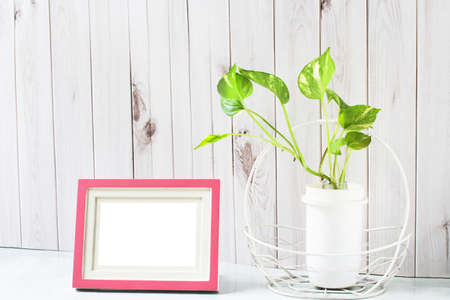 Living room interior design With picture frames and trees for air purification., Stylish interior design of living room.の写真素材