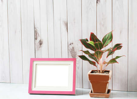 Living room interior design With picture frames and trees for air purification., Stylish interior design of living room.の写真素材