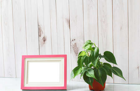 Living room interior design With picture frames and trees for air purification., Stylish interior design of living room.の写真素材