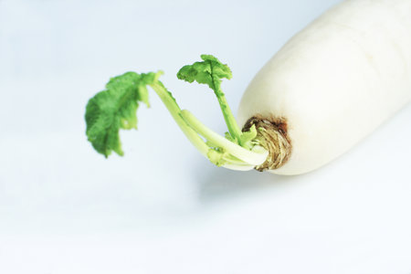 Close up shot of fresh white radish isolated on white background.の写真素材