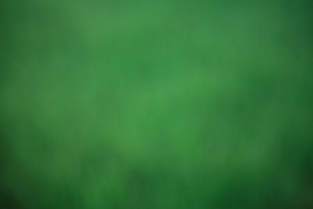 Beautiful background from green blur.