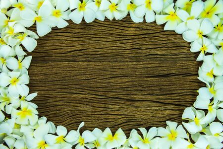 White frangipani on old wood background.の写真素材
