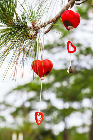 Lucky bell hanging on the pine branches.の写真素材