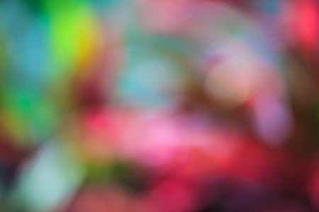 Background from leaves blur and natural.