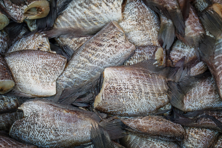 The fresh fish in the market.の写真素材