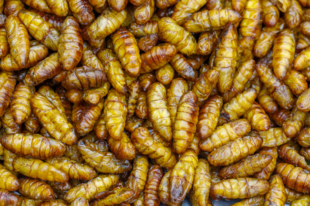 The fried insects unseen food in the Asian market.