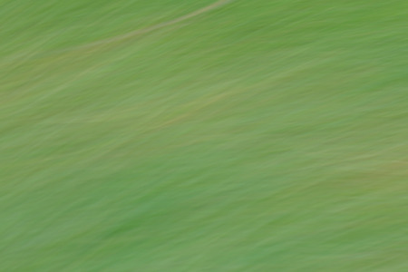 Green  blurred from grass for beautiful background.