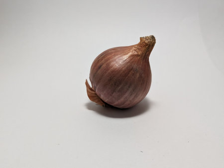 onion isolated on a white background. onion on a white backgroundの写真素材