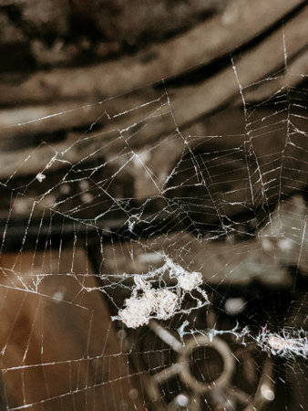 Broken spider web on a wooden background. Selective focus.の写真素材