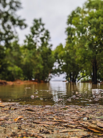 Raindrops on the surface of the puddle. Autumn landscape.の写真素材