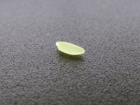 A drop on the surface. Close-up.の写真素材