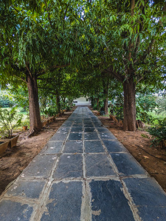 Stone walkway with tree in the parkの写真素材