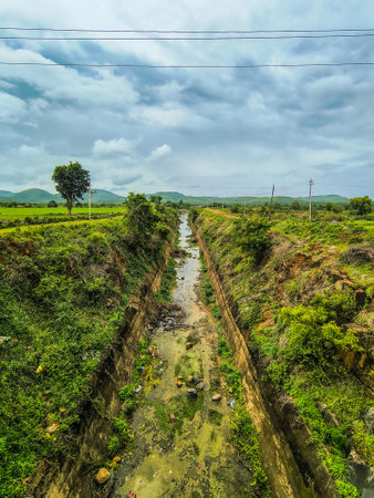 Small canal with green grass and cloudy sky in Indiaの写真素材