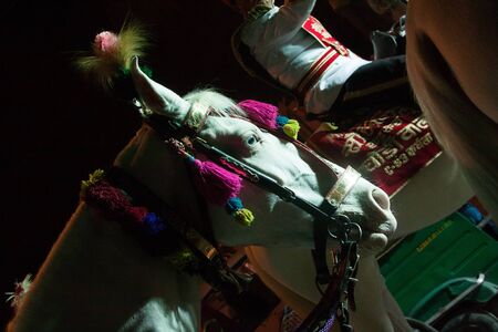 New Delhi, India - February 17 2015: Maha Shivaratri Hindu festival holiday street procession. Head of a beautiful white horse in a festively decorated harness with pompoms and feathers.のeditorial素材