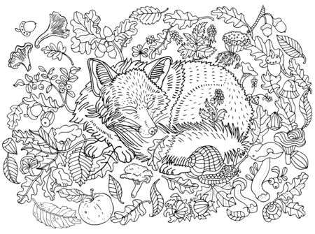 Cute sleeping fox among leaves, nuts, mushrooms, flowers and berries. Environment, nature, forest, plants. Hand drawn illustration. Coloring book page, postcard, children's illustration.のイラスト素材