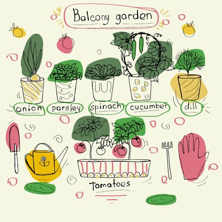 Vector ododling illustration with potted plantsの写真素材