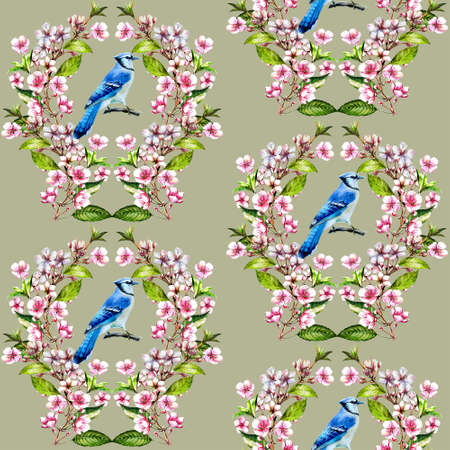 Seamless pattern with watercolor Blue Jay and cherry blossom.の写真素材