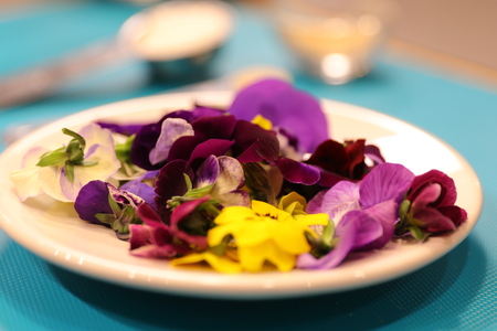 Edible flowers culinaryの写真素材