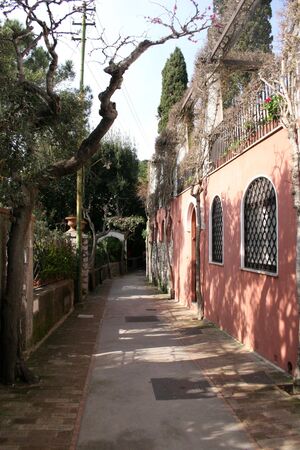 Archaic Streetの写真素材