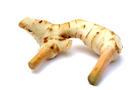 Galanga, blue ginger, laos om white backgroundの写真素材