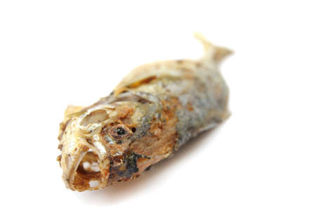 Fried fish isolated on white backgroundの写真素材