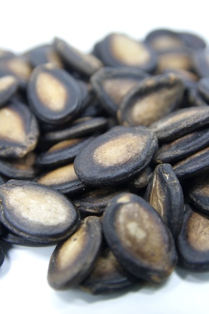Black water melon seeds isolated on white backgroundの写真素材