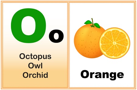 Alphabet letter O with clip-art and few similar words starting with the letter printable graphic for preschool / kindergarten kidsのイラスト素材