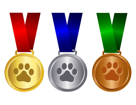 Dog show winners award medal gold , silver and bronze with red blue and green ribbons and paw print on centerのイラスト素材
