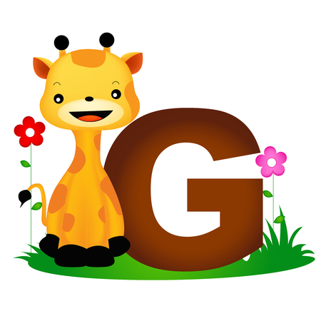 Colorful animal alphabet letter G with a cute giraffe flash card isolated on white backgroundのイラスト素材