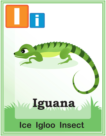 Animal alphabet with cute animals and capital and simple letters with similar words illustration. Specially for preschool children learning books.のイラスト素材