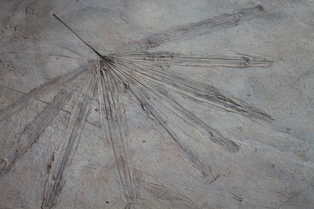 Handmade leaf print on the groundの写真素材
