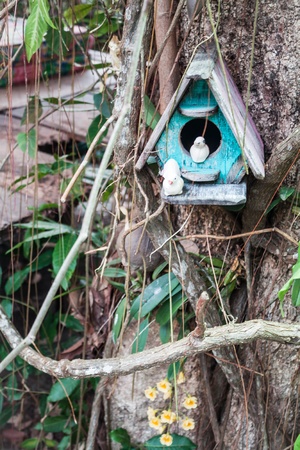 Wooden bird house and yellow wild orchidの写真素材