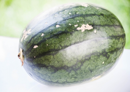 Close up fresh green sweet water melonの写真素材