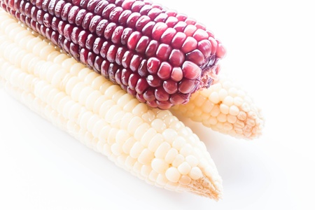 Violet and yellow corn cobs boiled isolated on white background, stock photoの写真素材