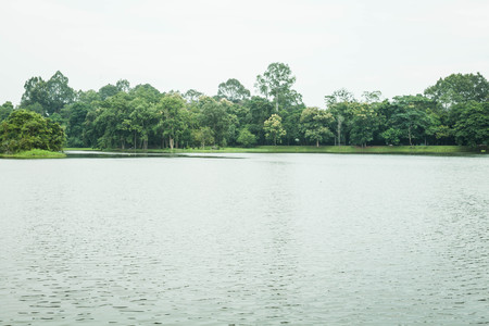 Non pollution area in the park, stock photoの写真素材