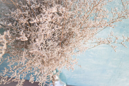 Close up of dried flower branches, stock photoの写真素材