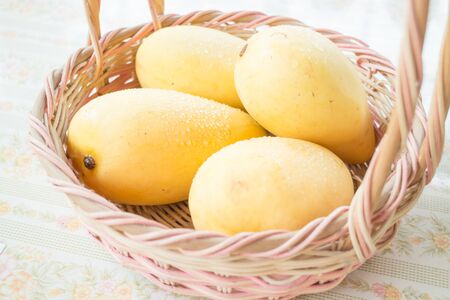 Fresh ripe thai yellow mango, stock photoの写真素材