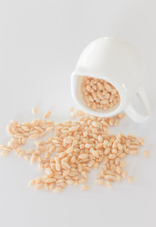 Organic pet wheat grass seedsの写真素材