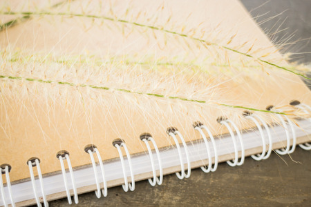 Simple decorate of creative work table, stock photoの写真素材